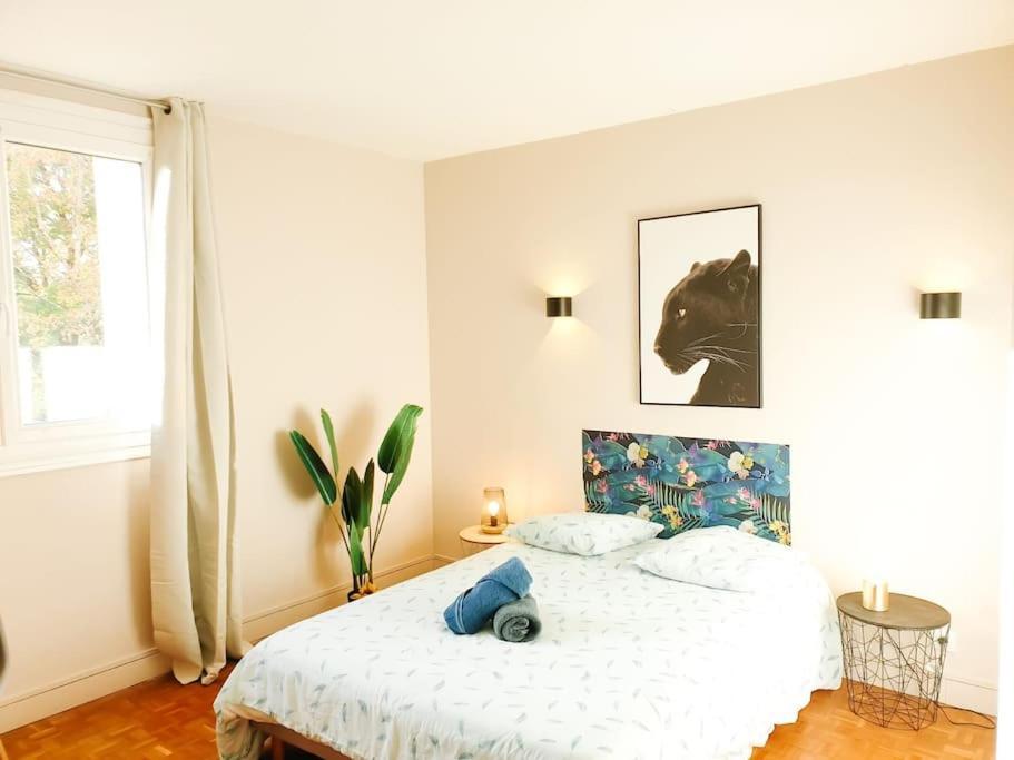 Cosy Mure 4Ch - Stationnement Gratuit Pau Esterno foto