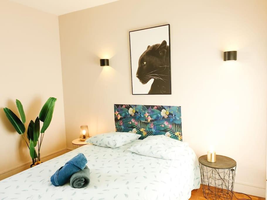 Cosy Mure 4Ch - Stationnement Gratuit Pau Esterno foto